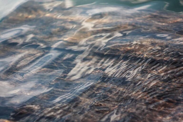 The Rhythm Beneath the Surface: When Water Becomes Art