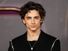 Timothée Chalamet Rumors: Why the Internet Won’t Stop Speculating